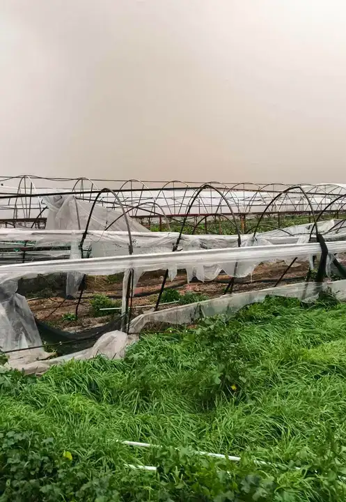 Antalya'da Tarımın Kalbine 300 Milyon TL'lik Darbe! 2